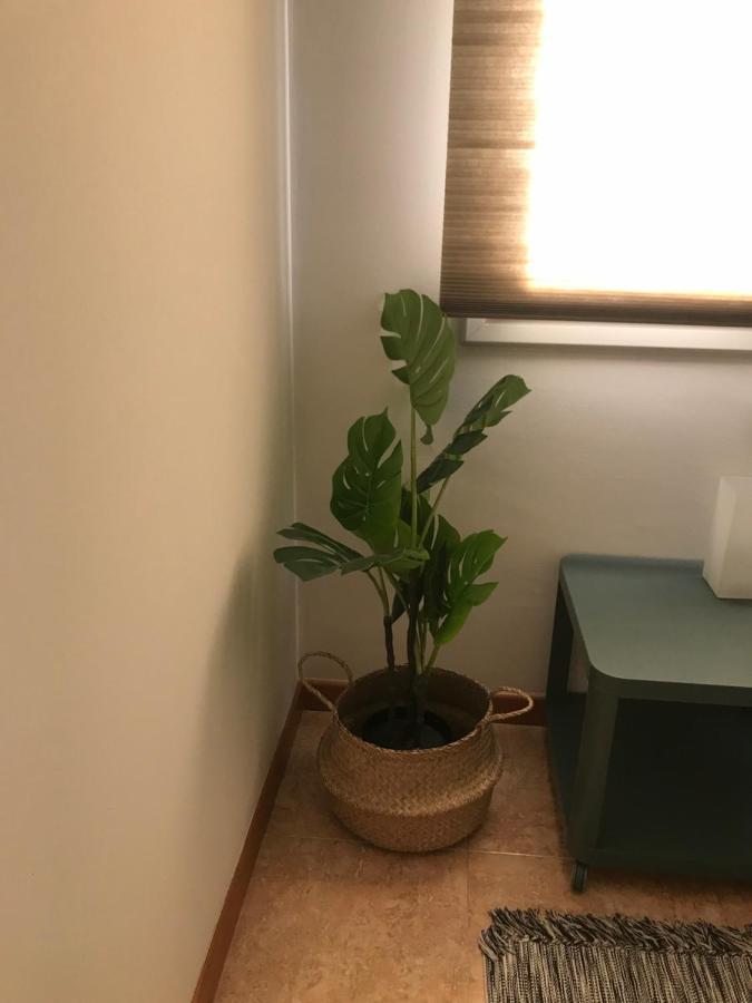 בלגר Apartamento Recien Reformado Con Vistas Al Rio מראה חיצוני תמונה
